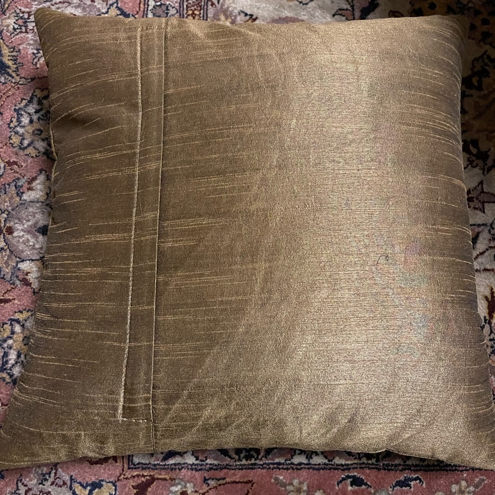 2 Beautiful raw silk accent cushions